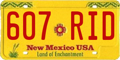 NM license plate 607RID