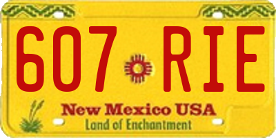 NM license plate 607RIE