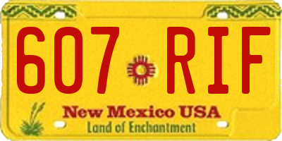 NM license plate 607RIF