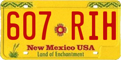 NM license plate 607RIH