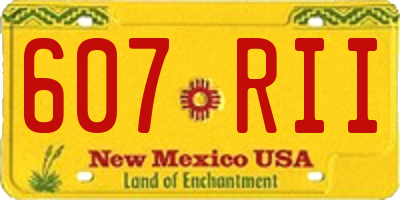 NM license plate 607RII