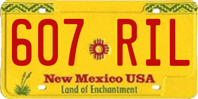 NM license plate 607RIL