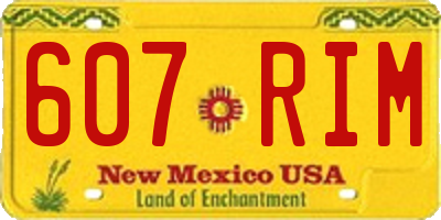 NM license plate 607RIM