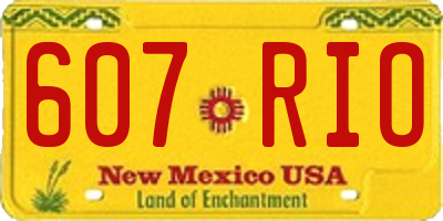 NM license plate 607RIO