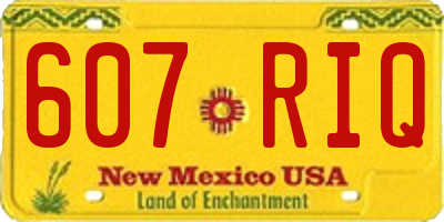 NM license plate 607RIQ