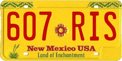 NM license plate 607RIS