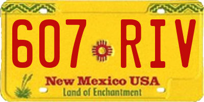 NM license plate 607RIV