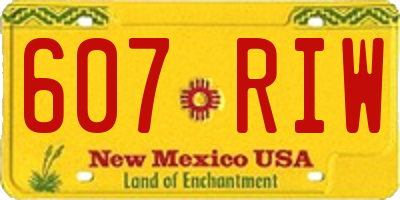 NM license plate 607RIW