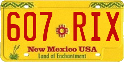 NM license plate 607RIX