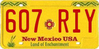 NM license plate 607RIY