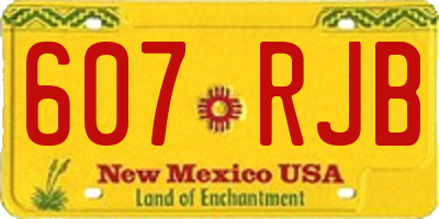 NM license plate 607RJB