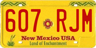 NM license plate 607RJM