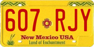 NM license plate 607RJY