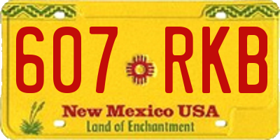 NM license plate 607RKB