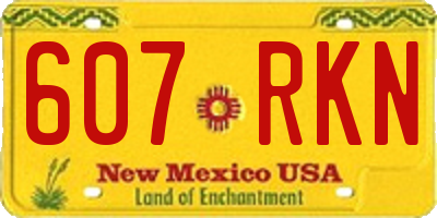 NM license plate 607RKN