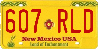 NM license plate 607RLD