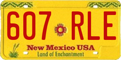 NM license plate 607RLE