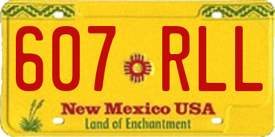 NM license plate 607RLL