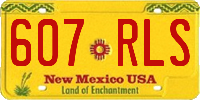 NM license plate 607RLS