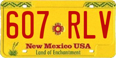 NM license plate 607RLV