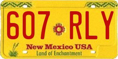 NM license plate 607RLY