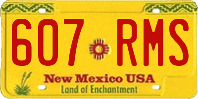 NM license plate 607RMS