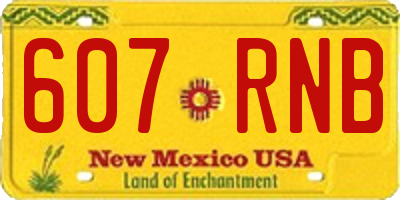 NM license plate 607RNB