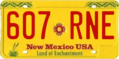 NM license plate 607RNE