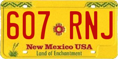 NM license plate 607RNJ