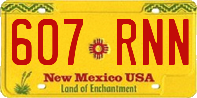 NM license plate 607RNN