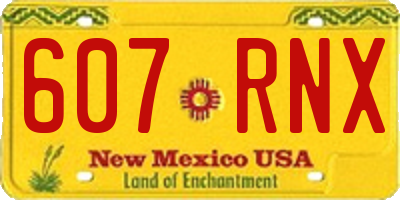 NM license plate 607RNX