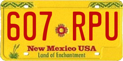 NM license plate 607RPU