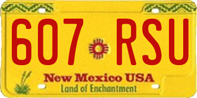 NM license plate 607RSU