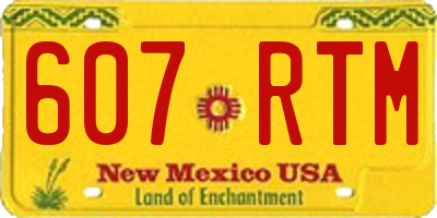 NM license plate 607RTM