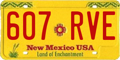 NM license plate 607RVE