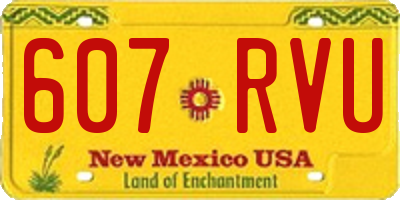 NM license plate 607RVU