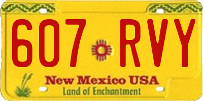 NM license plate 607RVY