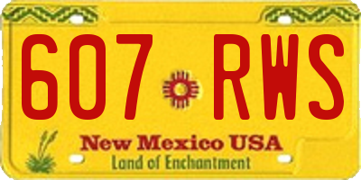 NM license plate 607RWS