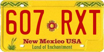 NM license plate 607RXT