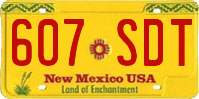 NM license plate 607SDT