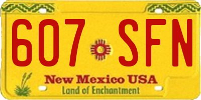 NM license plate 607SFN