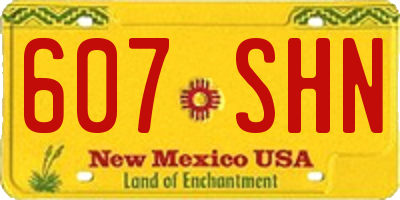 NM license plate 607SHN