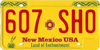 NM license plate 607SHO