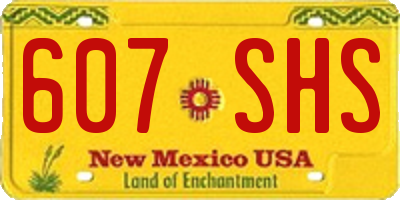 NM license plate 607SHS
