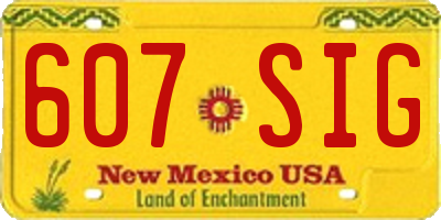 NM license plate 607SIG