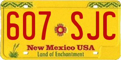 NM license plate 607SJC