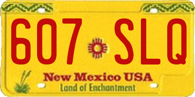 NM license plate 607SLQ