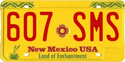 NM license plate 607SMS