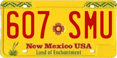 NM license plate 607SMU