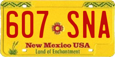 NM license plate 607SNA